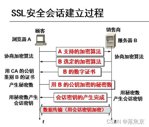 网络安全与认证技术总复习 网络技术开发关键要点